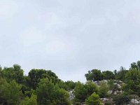 377928802 323915066876131 2735085746375018055 n (1)